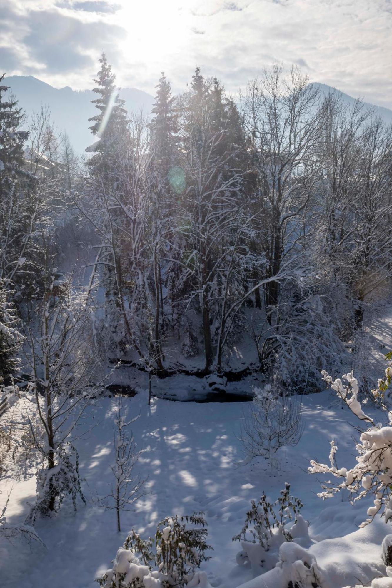 Servus Almtal Scharnstein Kültér fotó